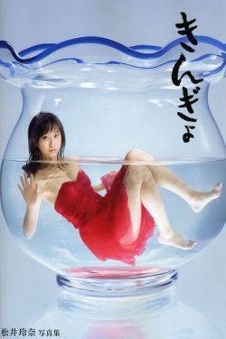 海关战线免费完整版在线观看